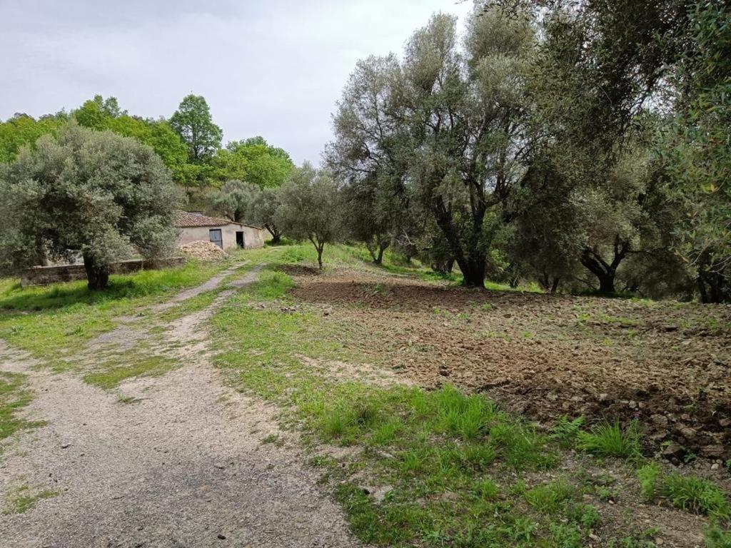 B&B Le Casette SantʼOnofrio Dış mekan fotoğraf